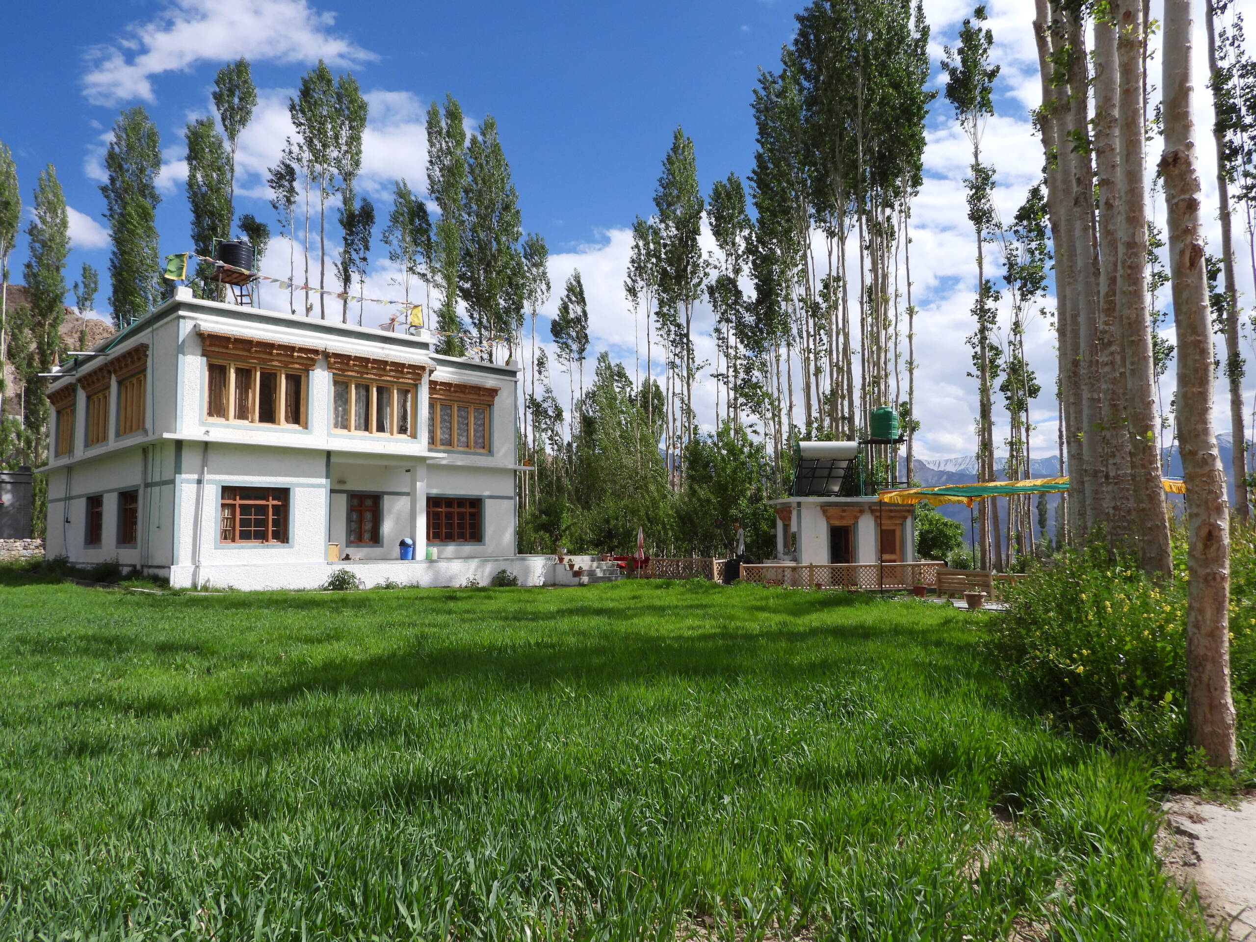 Nyanjan Guesthouse in Phyang Village Leh Ladakh