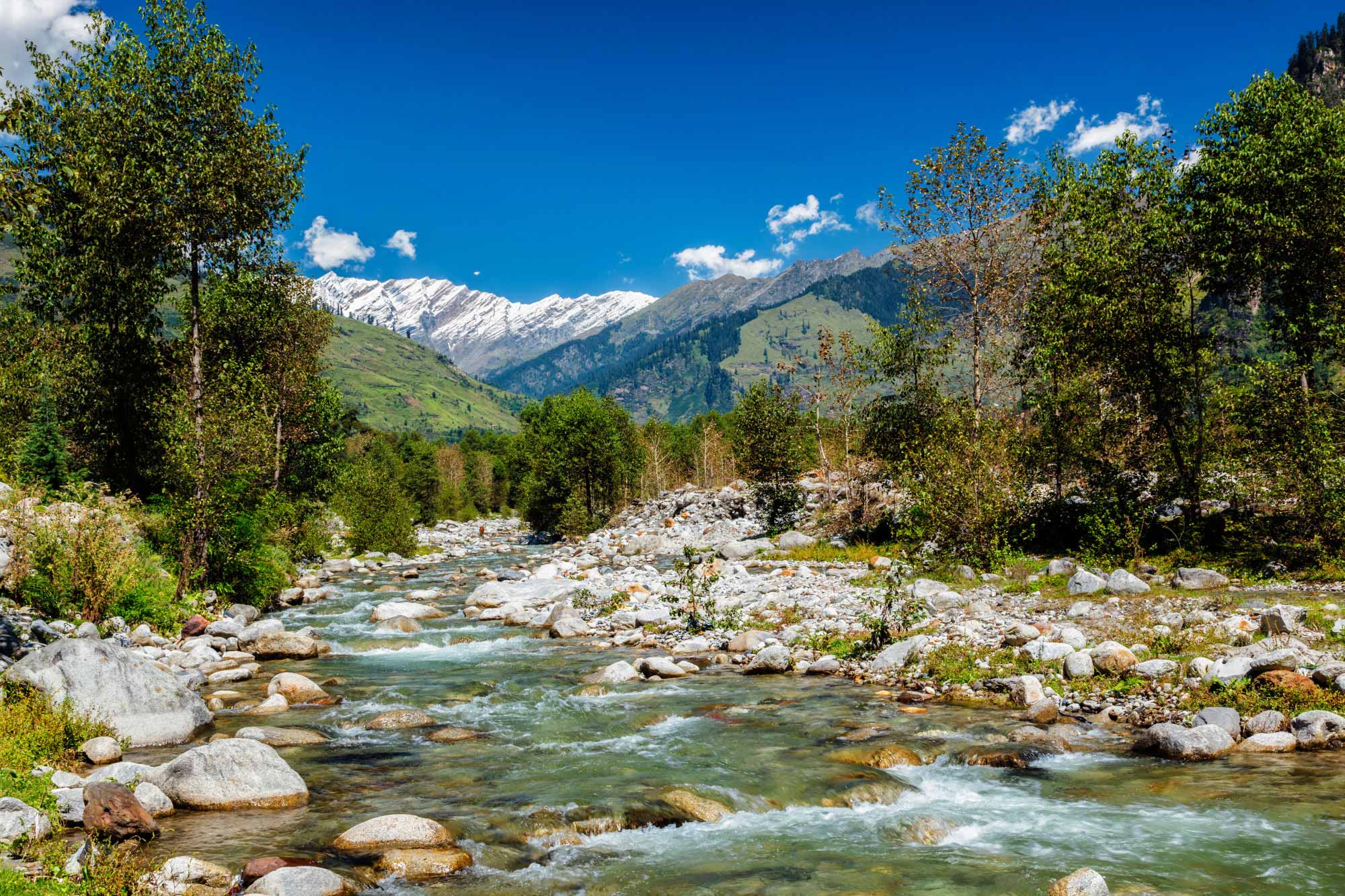 beas-river-kullu-valley-himachal-pradesh-india