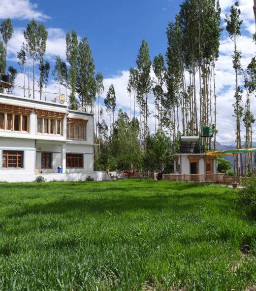 Nyanjan Guesthouse in Phyang Village Leh Ladakh