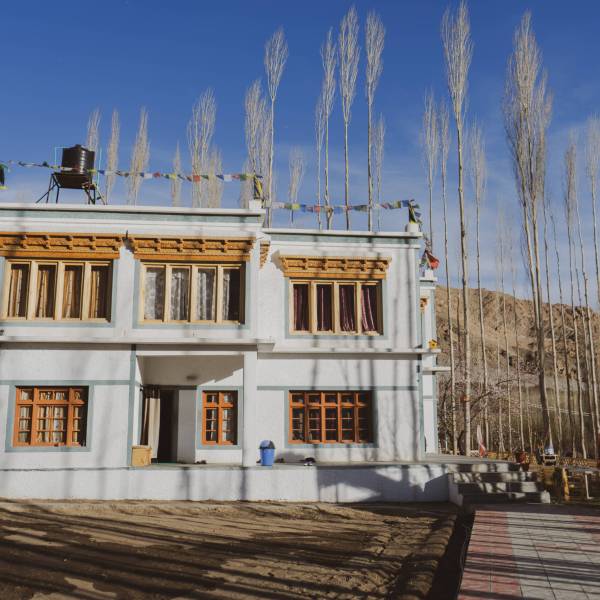 Nyanjan Guesthouse in Phyang Village Leh Ladakh